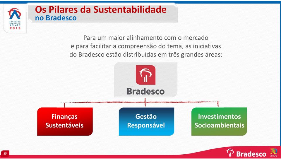 as iniciativas do Bradesco estão distribuídas em três grandes