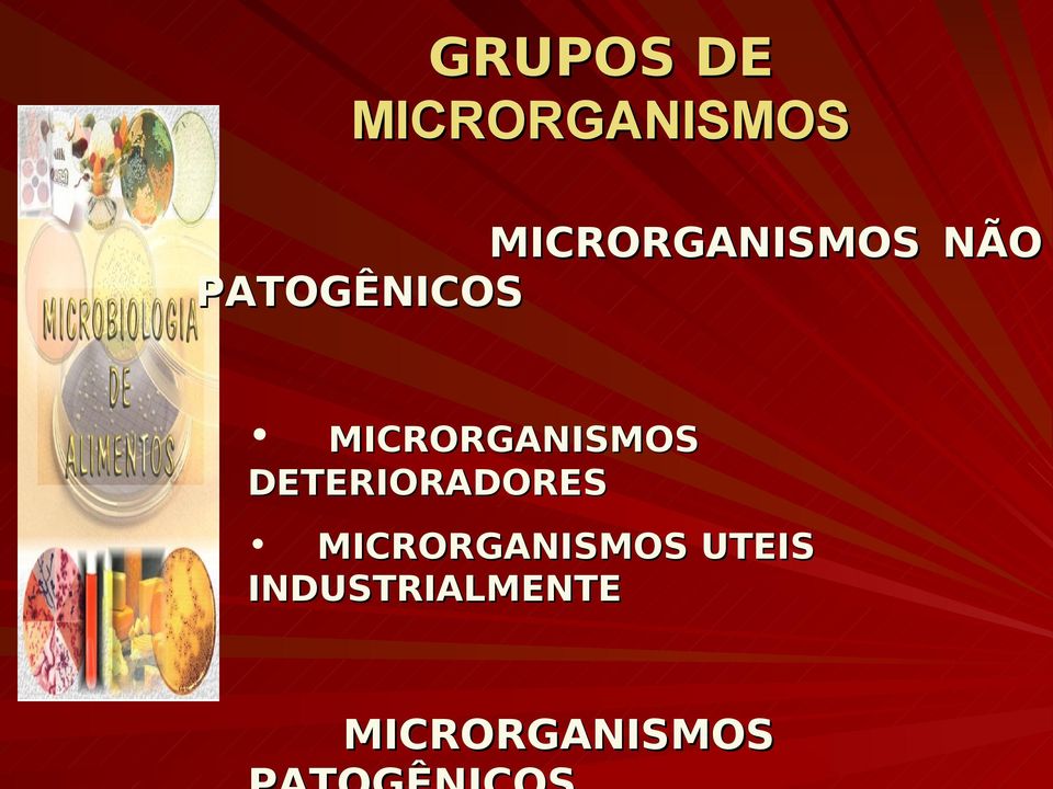 MICRORGANISMOS DETERIORADORES