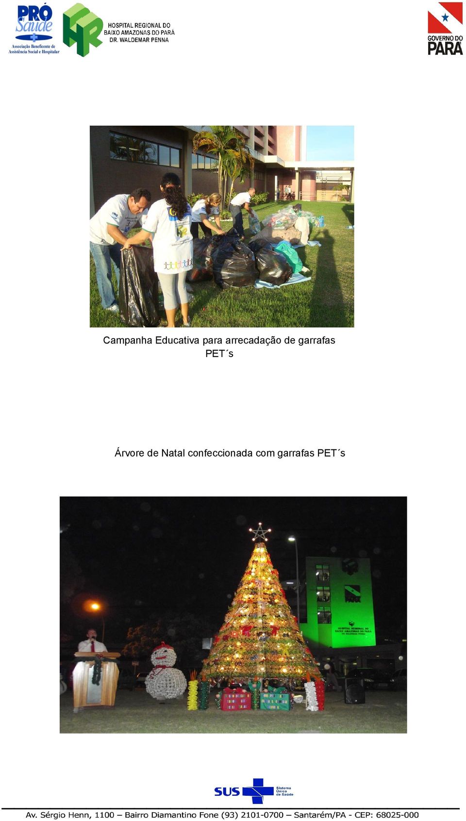 PET s Árvore de Natal