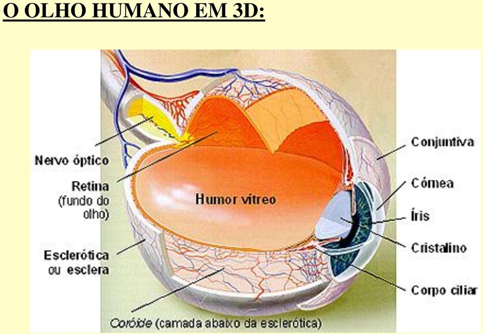 3D: