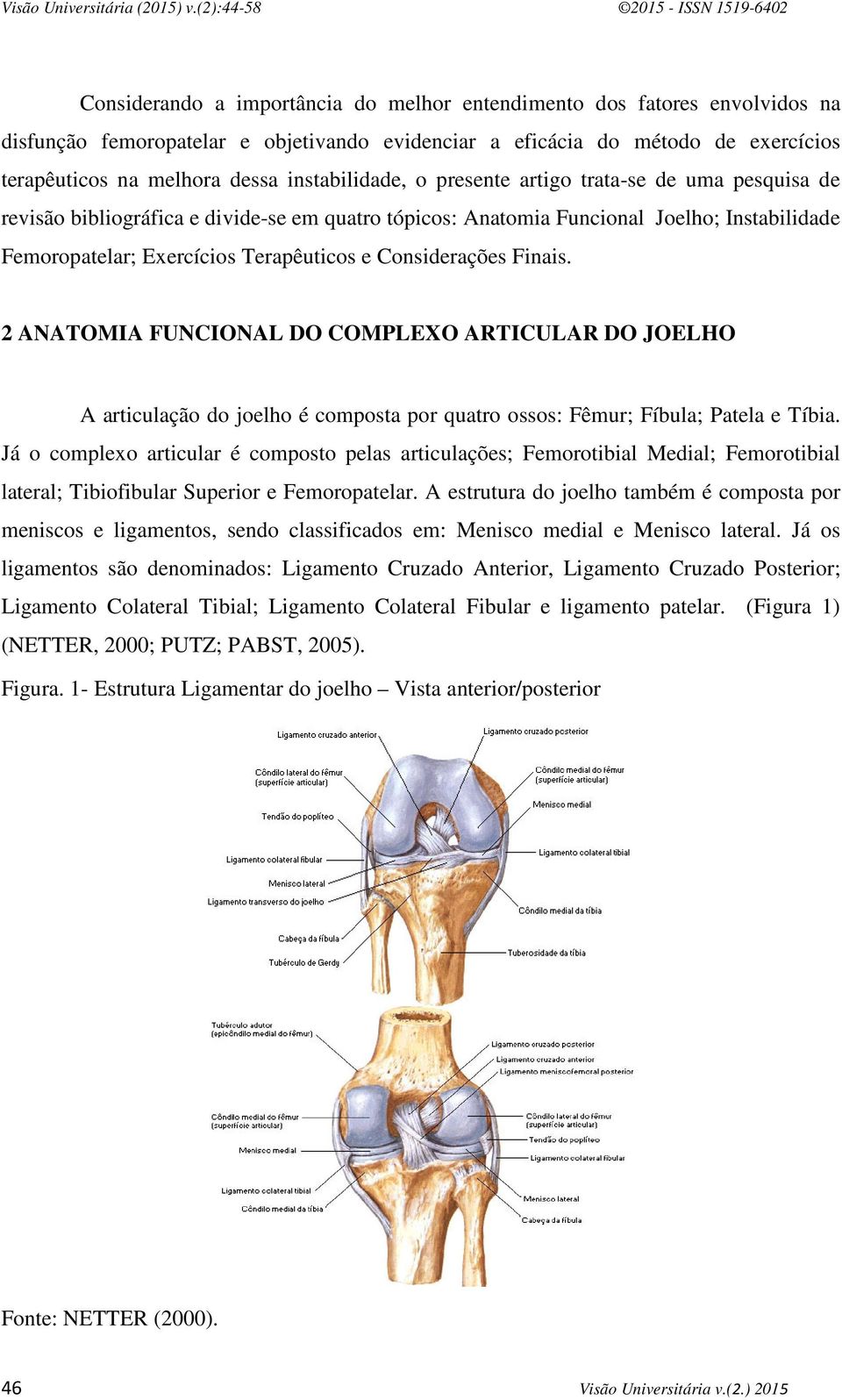Considerações Finais. 2 ANATOMIA FUNCIONAL DO COMPLEXO ARTICULAR DO JOELHO A articulação do joelho é composta por quatro ossos: Fêmur; Fíbula; Patela e Tíbia.