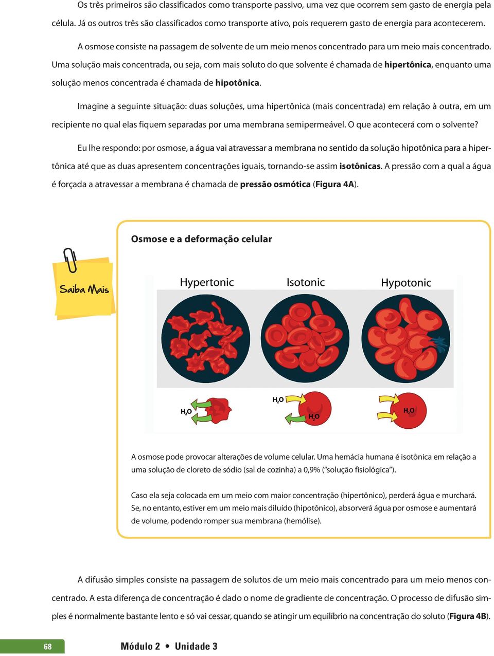 A osmose consiste na passagem de solvente de um meio menos concentrado para um meio mais concentrado.