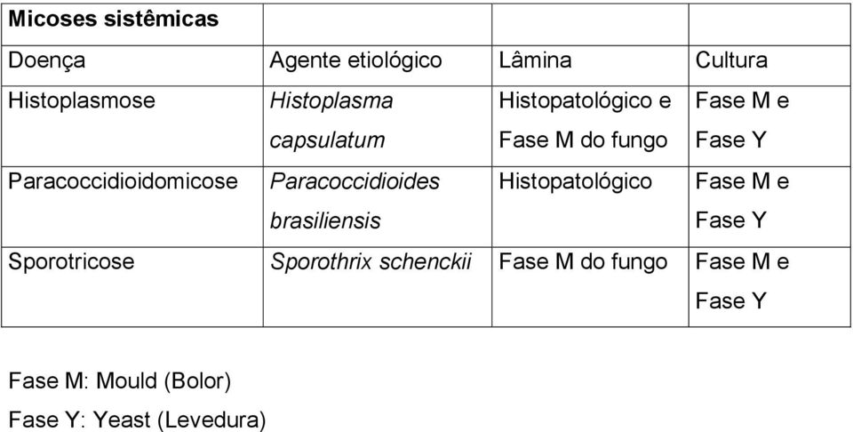 Paracoccidioides brasiliensis Histopatológico Fase M e Fase Y Sporotricose Sporothrix