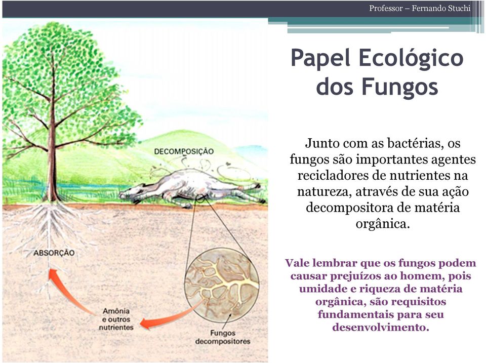 orgânica.