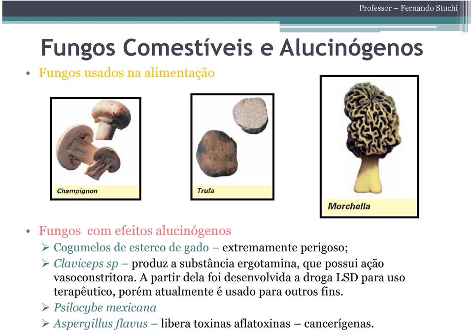 possui ação vasoconstritora.