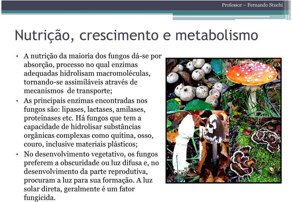 Há fungos que tem a capacidade de hidrolisar substâncias orgânicas complexas como quitina, osso, couro, inclusive materiais plásticos; No desenvolvimento