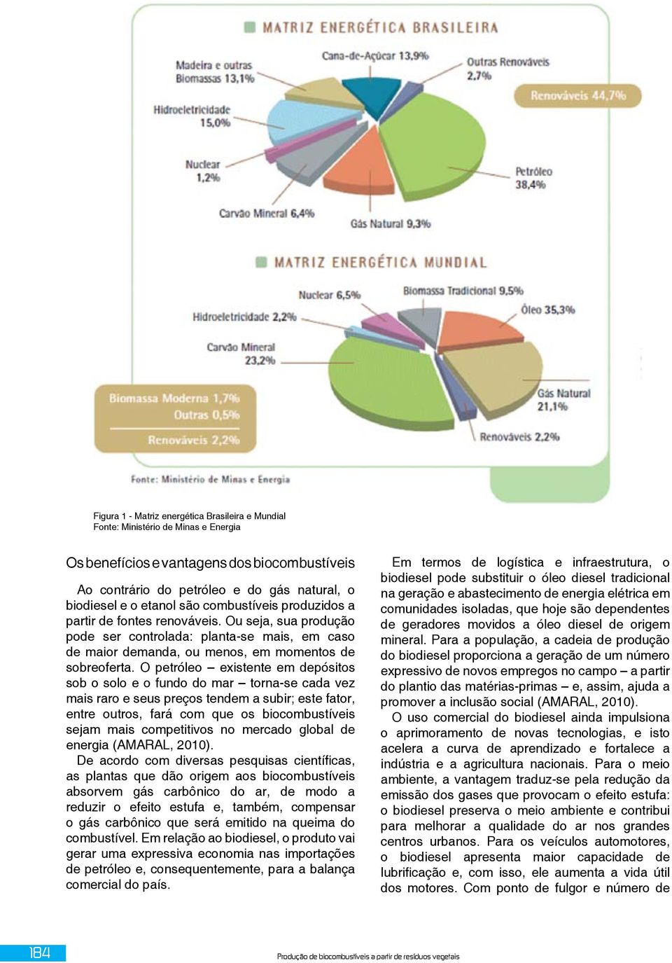 O petróleo existente em depósitos sob o solo e o fundo do mar torna-se cada vez mais raro e seus preços tendem a subir; este fator, entre outros, fará com que os biocombustíveis sejam mais