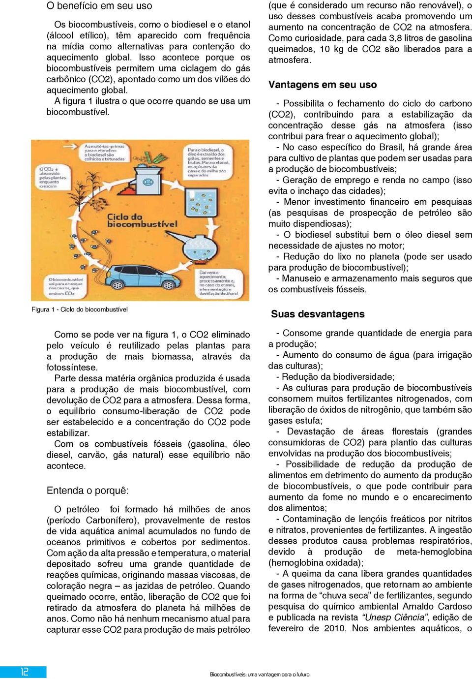 A figura 1 ilustra o que ocorre quando se usa um biocombustível.