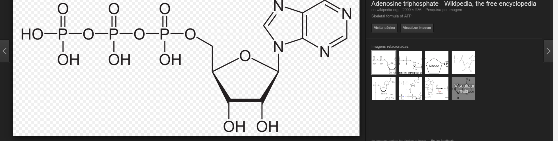 ESTRUTURA do ATP (Adenosina TriFosfato) Três grupos Fosfato Base nitrogenada -