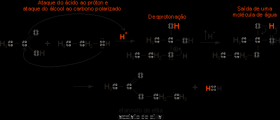 Reação dos álcoois com ácidos orgânicos Reatividade Esterificação Ácido orgânico Álcool Éster A esterificação é uma reação lenta, que pode ser catalisada pela presença de iões H + É uma reação