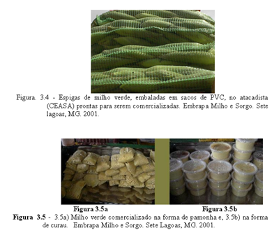 4. Análise por Estado Como observado anteriormente, os dois maiores produtores de milho verde no país são os estados de Minas Gerais e São Paulo, primeiro e segundo produtores, respectivamente; por