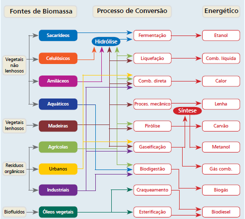 BIOMASSA