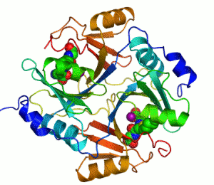 Enzimas O funcionamento das enzimas depende da estabilidade da sua estrutura protéica.