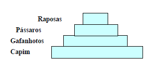 Pirâmide de números Exemplos A pirâmide de números dá uma idéia da distribuição quantitativa de quantos organismos existem em cada nível trófico do ecossistema; também ilustra relações quantitativas