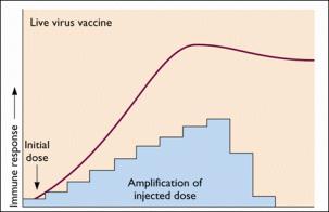 Vacinas estimulam Respostas Imunes de Memória As vacinas inativadas necessitam de múltiplas doses (doses de reforço / booster) para estimularem adequadamente