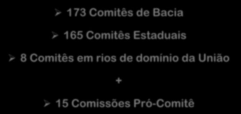 ATUALMENTE NO BRASIL: 173 Comitês de Bacia 165 Comitês Estaduais