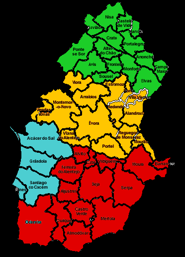 Nível concelhio 47 concelhos 42 Equipas de Intervenção Directa 29 Instituições de suporte