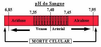 Sistema glicolítico ou metabolismo anaeróbio lático Durante o exercício o Ph pode