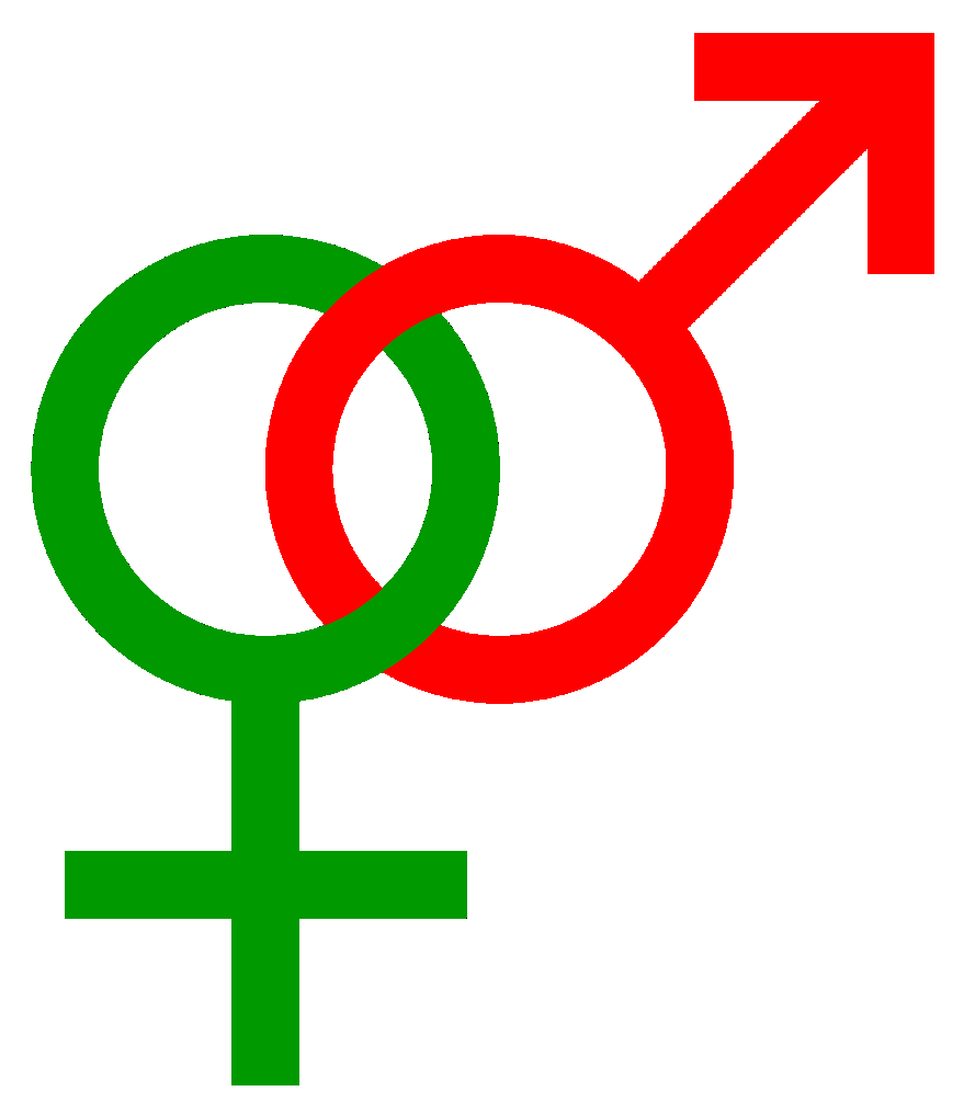 Perspectiva essencialista Modelo tradicional dos Gênero 1) Sexo MACHO FÊMEA 2) Papéis de Gênero MASCULINO FEMININO 3) Identidade de Gênero HOMEM