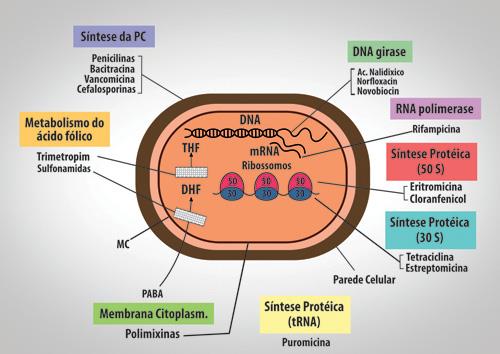 Classificação