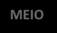 OGM NO BRASIL: SAÚDE E MEIO AMBIENTE 2º maior consumidor de sementes transgênicas > 40 mi ha plantados Vacinas, microorganismos,