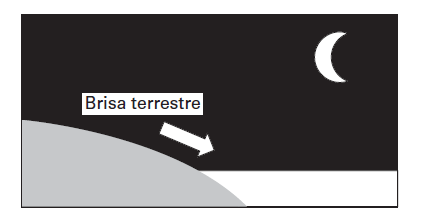 OBJETO DO CONHECIMENTO: Processos de Eletrização Ligação à Terra 6.