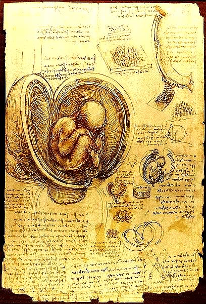 É importante explicar que na época de Leonardo da Vinci ainda havia algumas restrições da própria sociedade e também da Igreja em relação aos estudos anatômicos, visto que os cadáveres, considerados