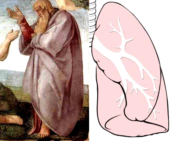 Figura 6: Detalhe do manto de Deus, a esquerda. Figura de um pulmão humano, a direita.