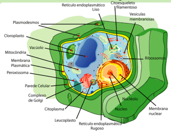 animais, microbianas ou espécies de outra natureza,