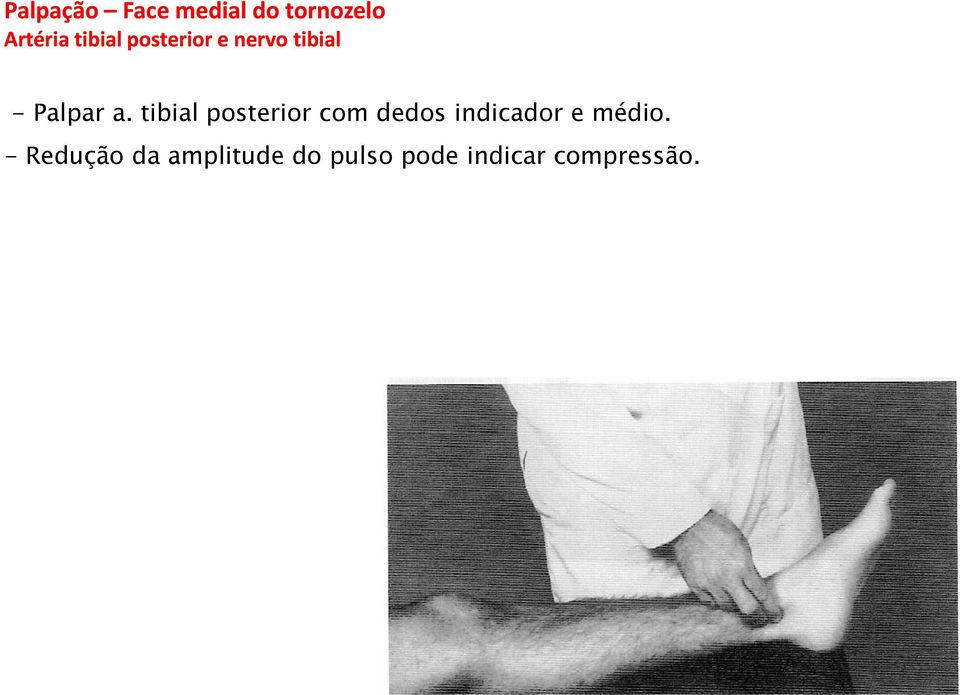 tibial posterior com dedos indicador e médio.