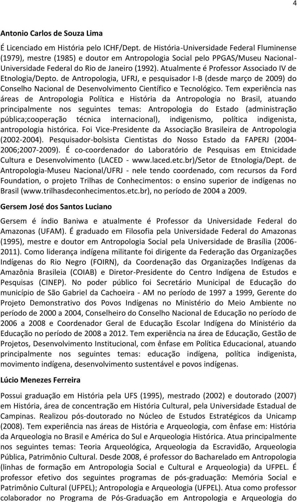 Atualmente é Professor Associado IV de Etnologia/Depto. de Antropologia, UFRJ, e pesquisador I-B (desde março de 2009) do Conselho Nacional de Desenvolvimento Científico e Tecnológico.