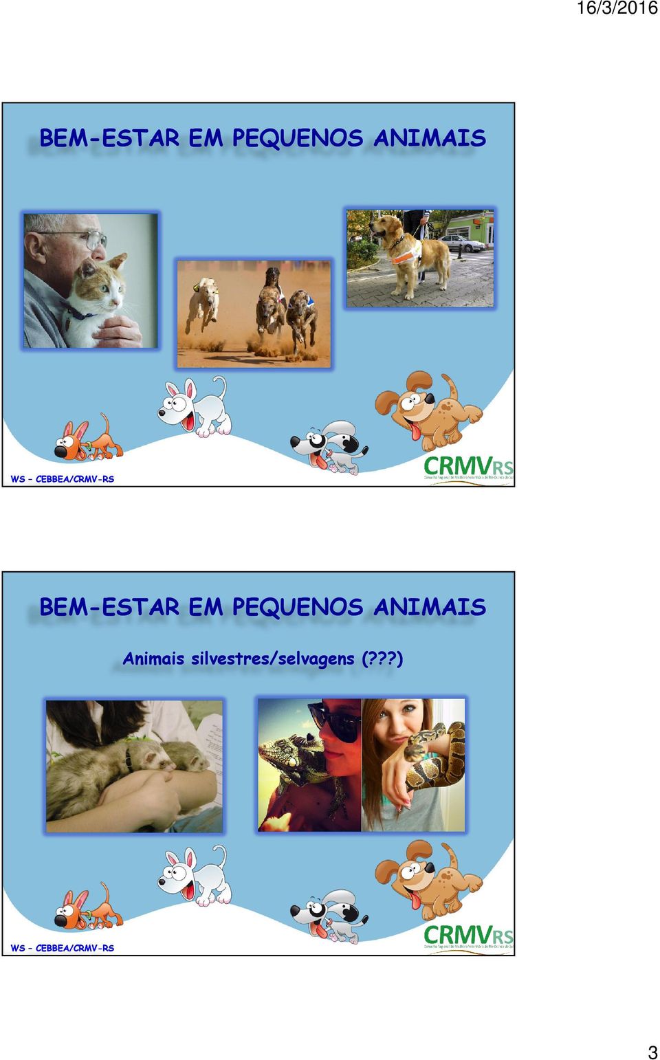 EM PEQUENOS ANIMAIS Animais