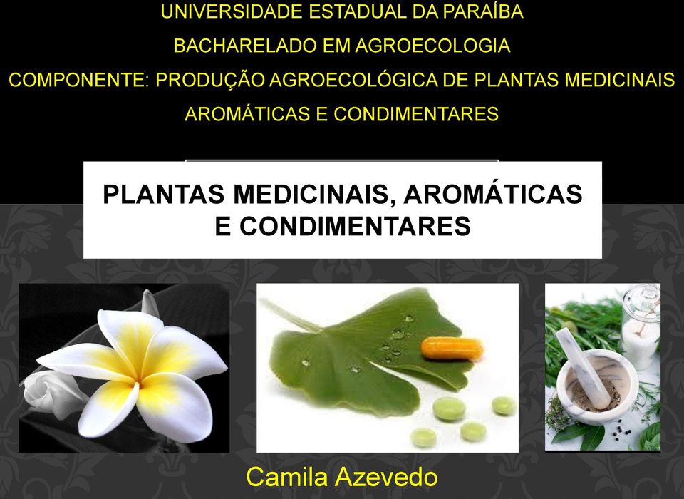 PLANTAS MEDICINAIS AROMÁTICAS E CONDIMENTARES