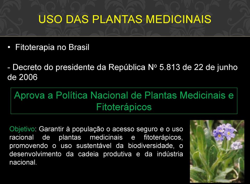 Objetivo: Garantir à população o acesso seguro e o uso racional de plantas medicinais e