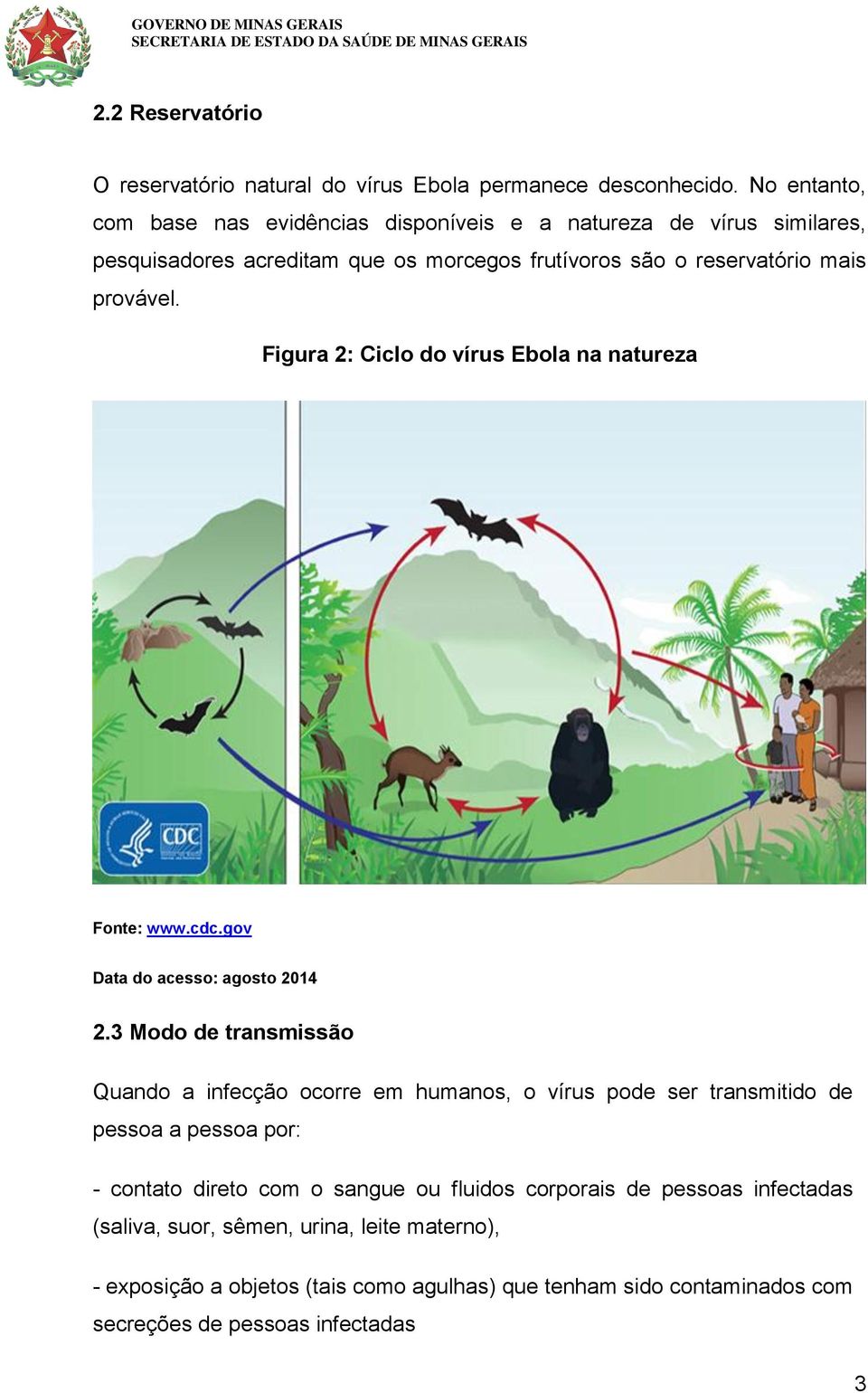 Figura 2: Ciclo do vírus Ebola na natureza Fonte: www.cdc.gov Data do acesso: agosto 2014 2.