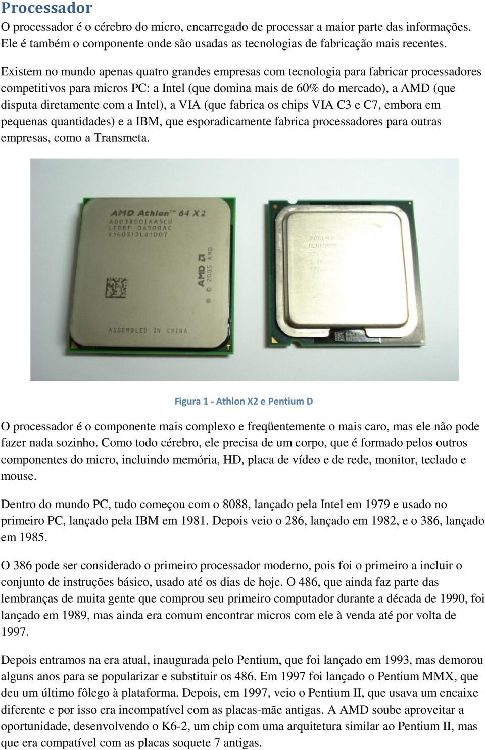 a Intel), a VIA (que fabrica os chips VIA C3 e C7, embora em pequenas quantidades) e a IBM, que esporadicamente fabrica processadores para outras empresas, como a Transmeta.