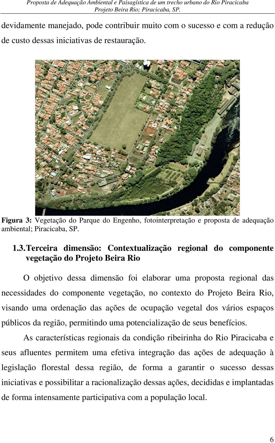 Vegetação do Parque do Engenho, fotointerpretação e proposta de adequação ambiental; Piracicaba, SP. 1.3.