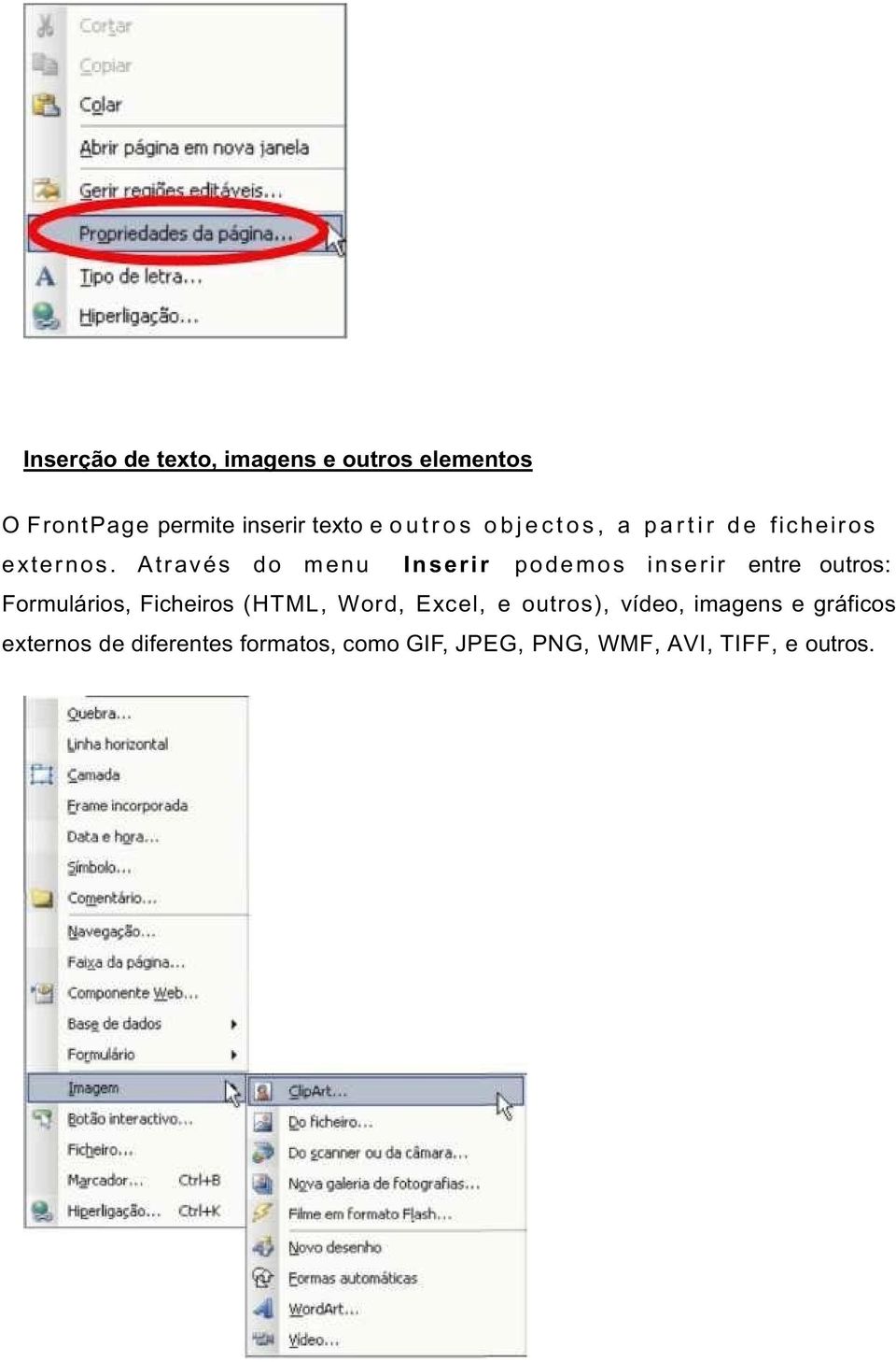 Através do menu Inserir podemos inserir entre outros: Formulários, Ficheiros (HTML, Word,