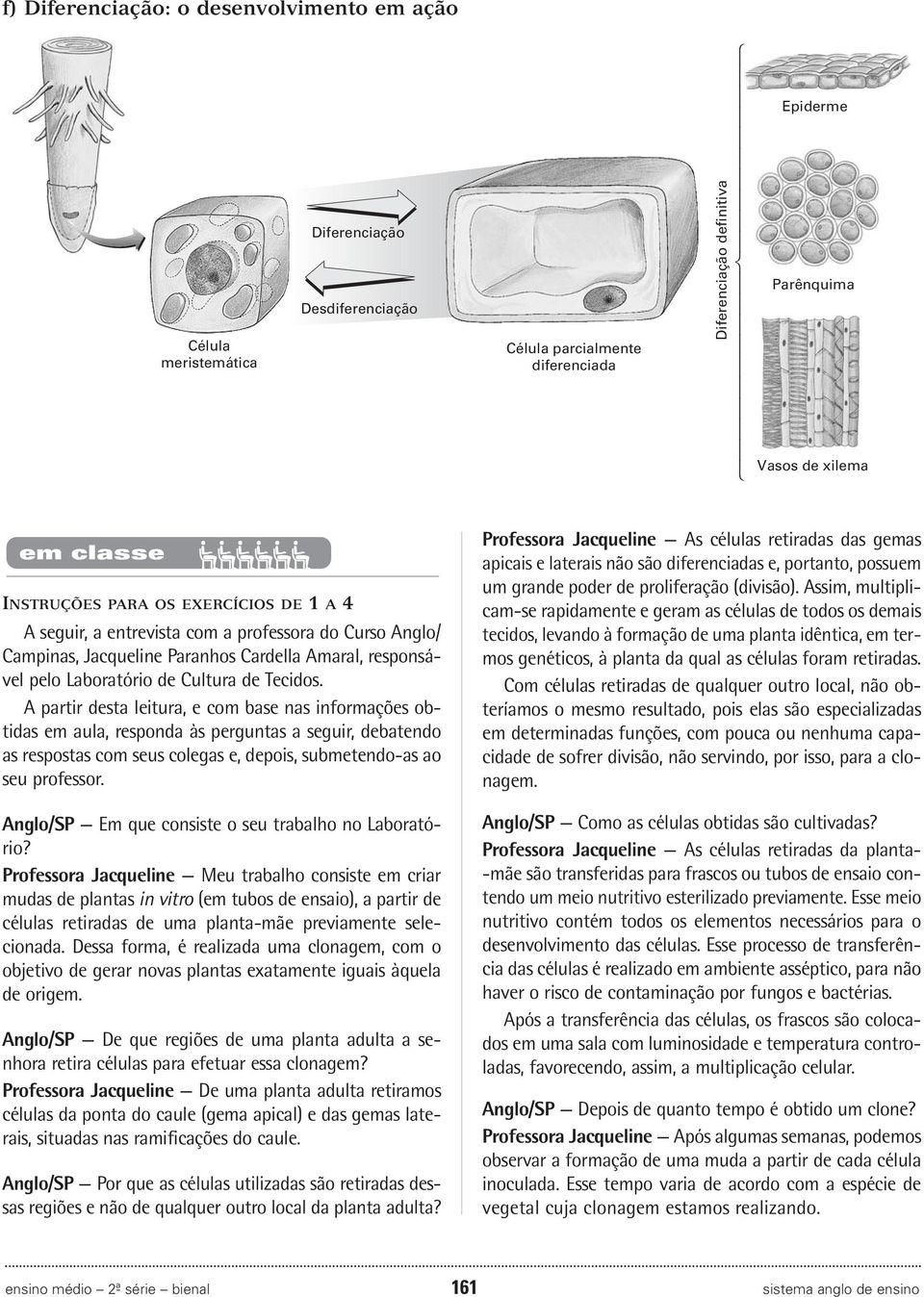 de Tecidos. A partir desta leitura, e com base nas informações obtidas em aula, responda às perguntas a seguir, debatendo as respostas com seus colegas e, depois, submetendo-as ao seu professor.