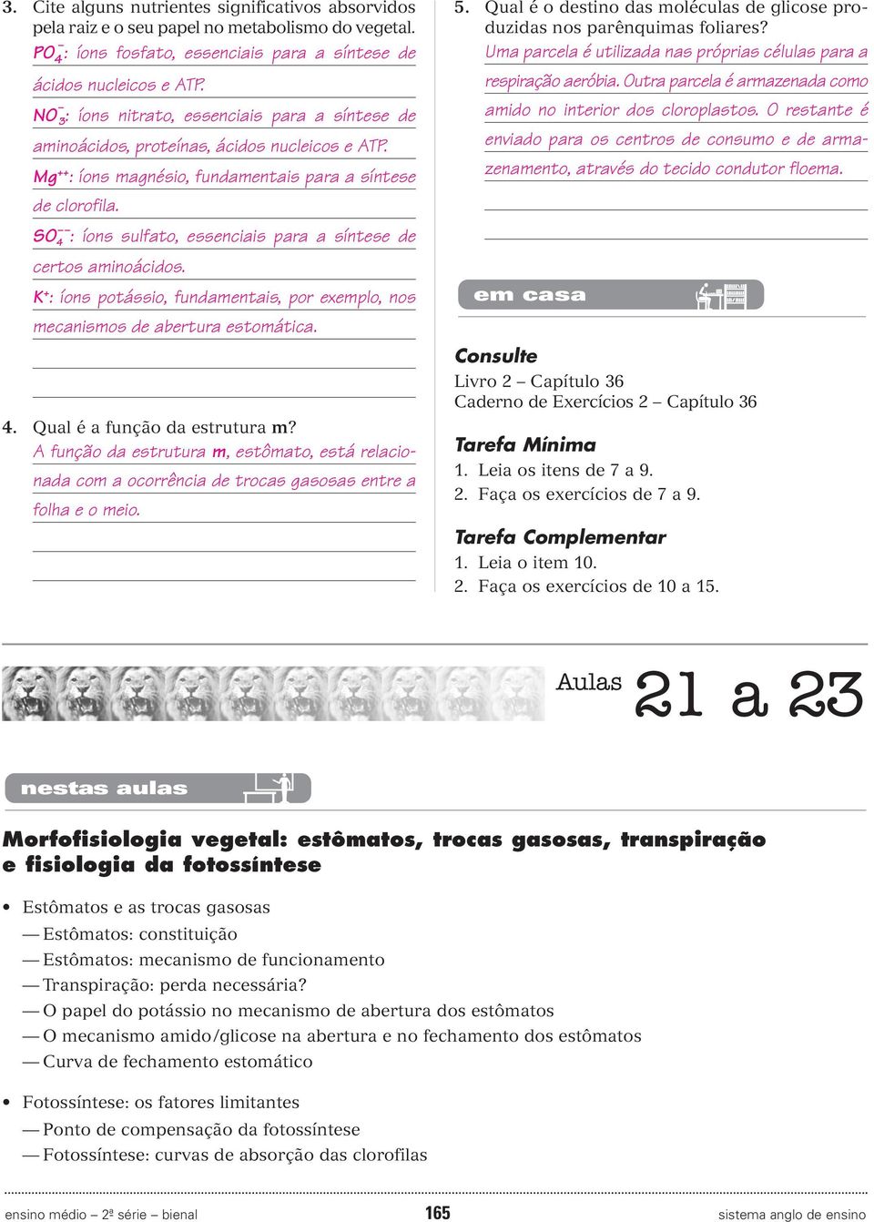 SO 4 : íons sulfato, essenciais para a síntese de certos aminoácidos. K + : íons potássio, fundamentais, por exemplo, nos mecanismos de abertura estomática. 4. Qual é a função da estrutura m?