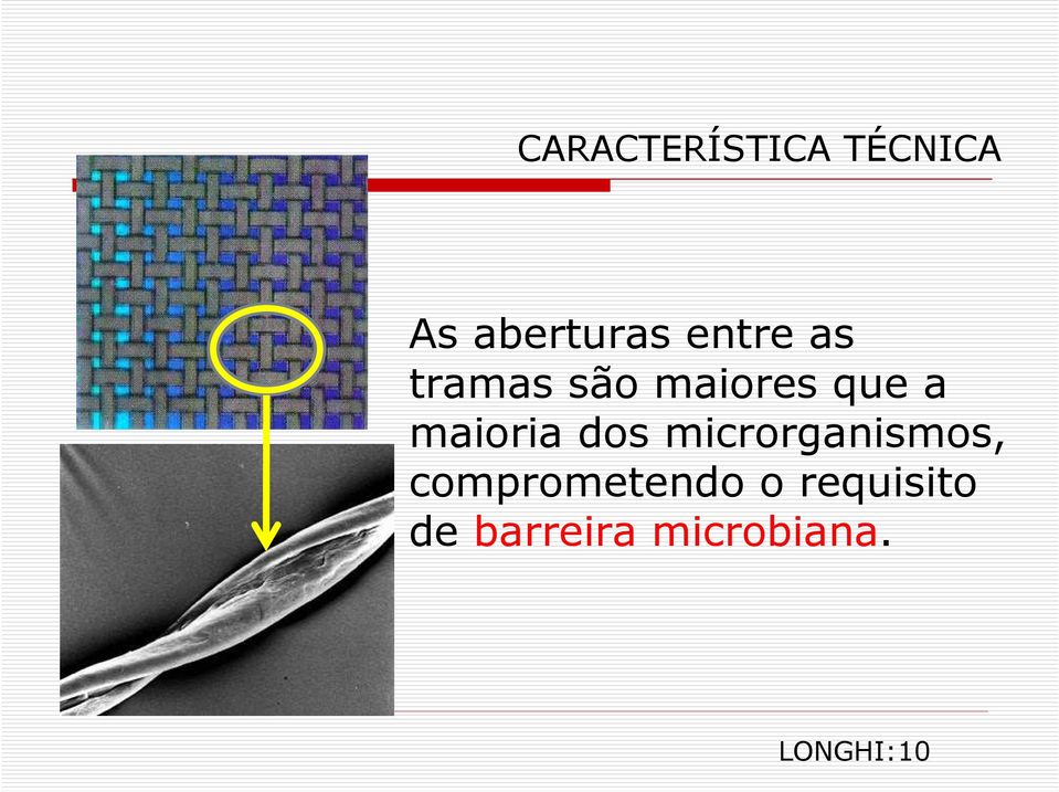 maioria dos microrganismos,