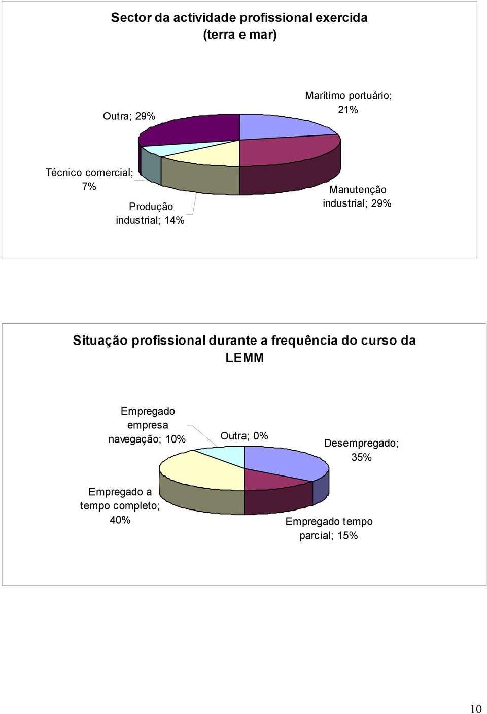 profissional durante a frequência do curso da LEMM Empregado empresa navegação; 10%