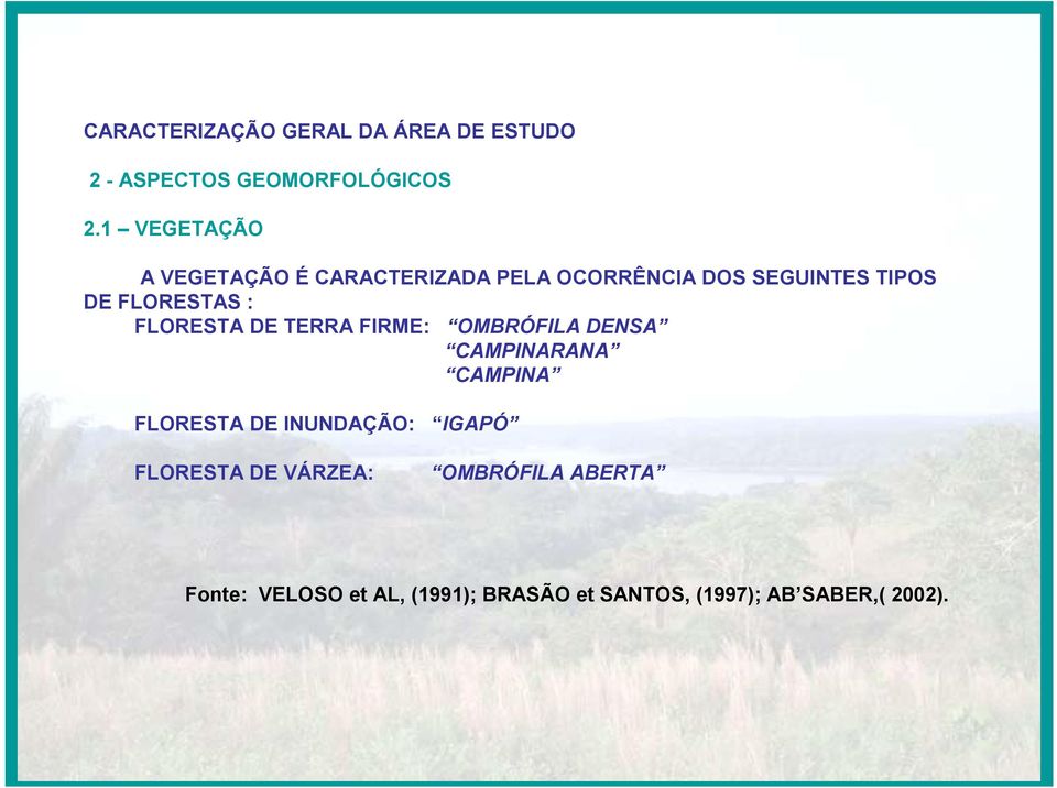 : FLORESTA DE TERRA FIRME: OMBRÓFILA DENSA CAMPINARANA CAMPINA FLORESTA DE INUNDAÇÃO: