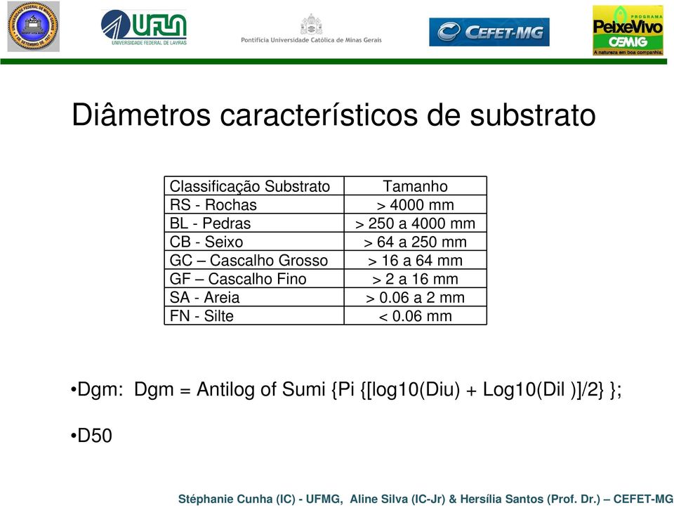 Tamanho > 4000 mm > 250 a 4000 mm > 64 a 250 mm > 16 a 64 mm > 2 a 16 mm > 0.