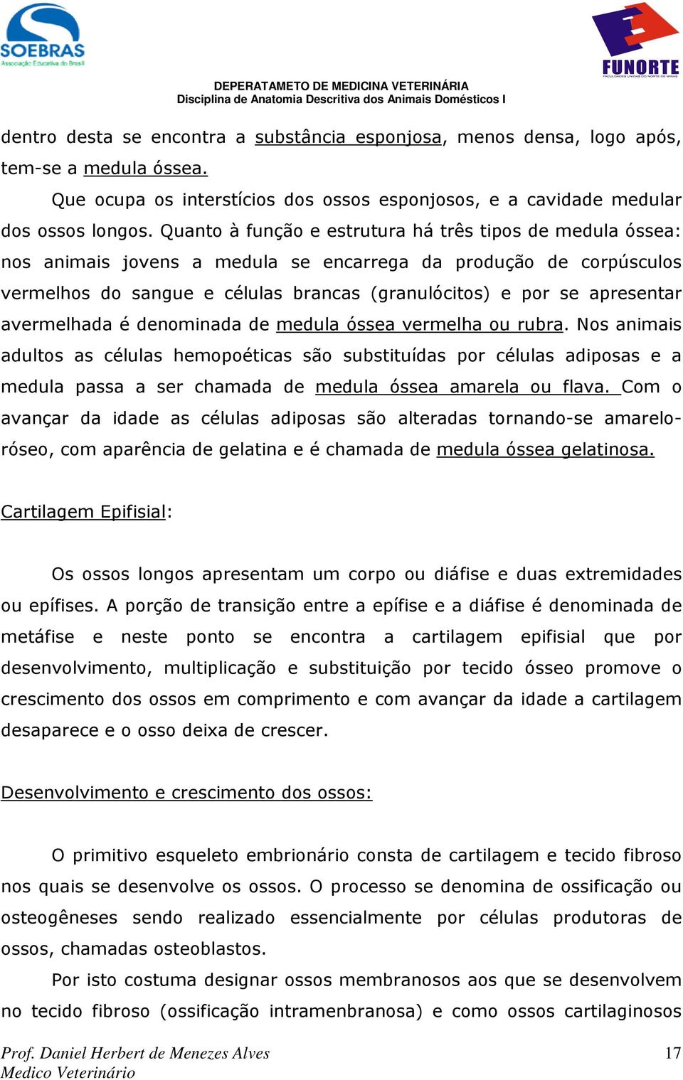 avermelhada é denominada de medula óssea vermelha ou rubra.