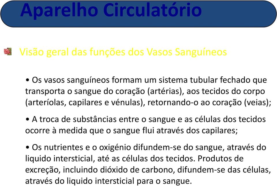 ocorre à medida que o sangue flui através dos capilares; Os nutrientes e o oxigénio difundem se do sangue, através do liquido intersticial, até as