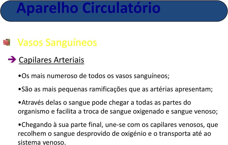 sangue oxigenado e sangue venoso; Chegandoà sua parte final une se com os capilares venosos que Chegando à sua parte