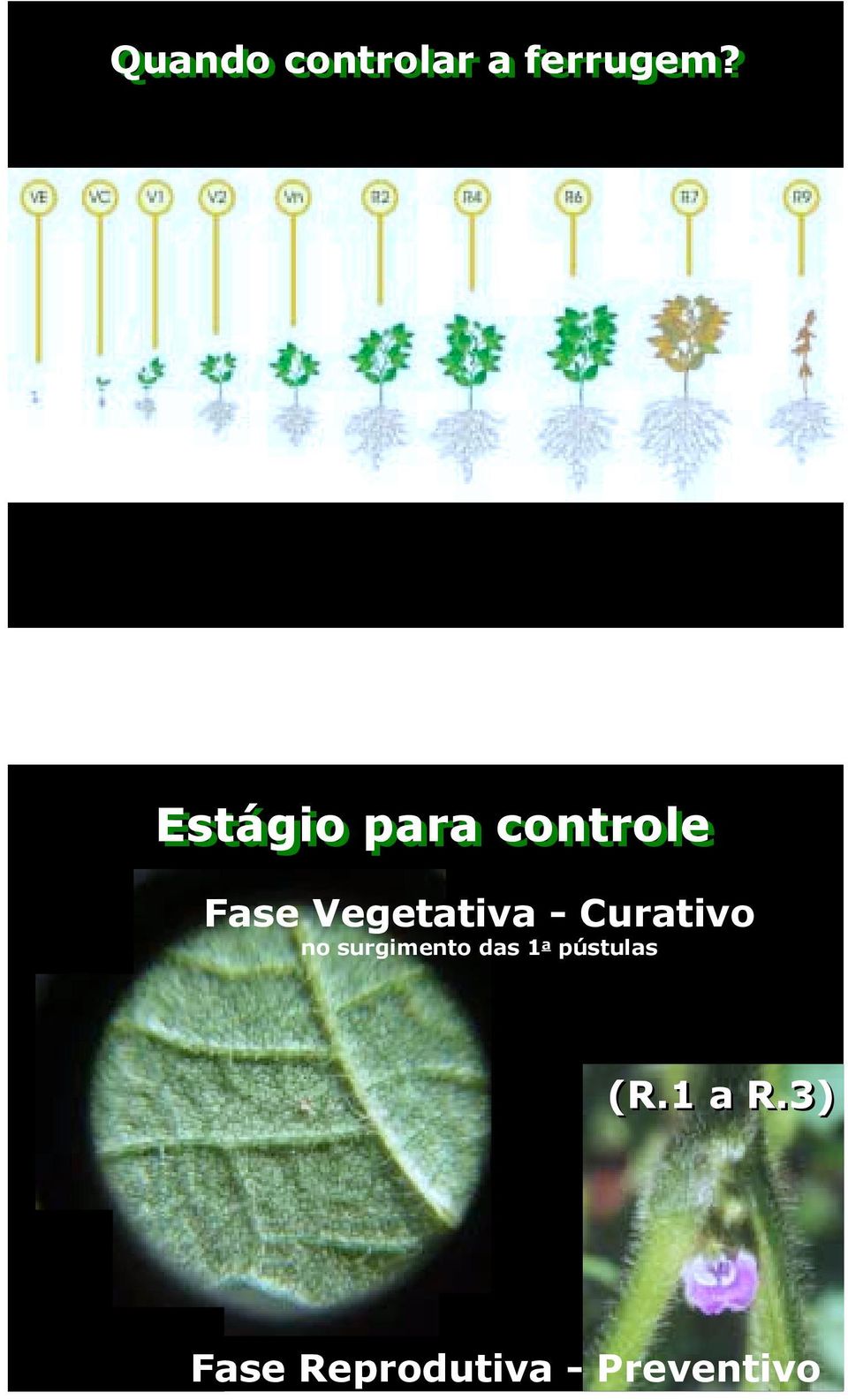 - Curativo no surgimento das 1 a