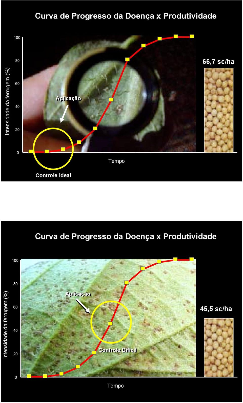 Ideal Curva de Progresso da Doença x Produtividade 1 8