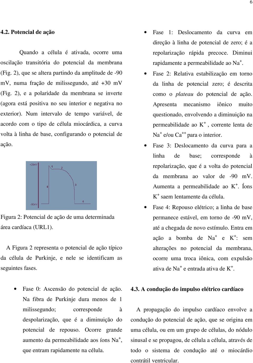 Num intervalo de tempo variável, de acordo com o tipo de célula miocárdica, a curva volta à linha de base, configurando o potencial de ação.